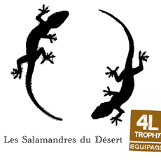 Salamandres Du Désert