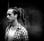dmnt-arno