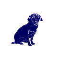 The Blue Dog