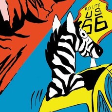 zebra