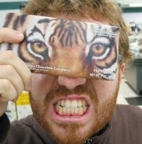arisalomon