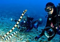 bigblueplanet