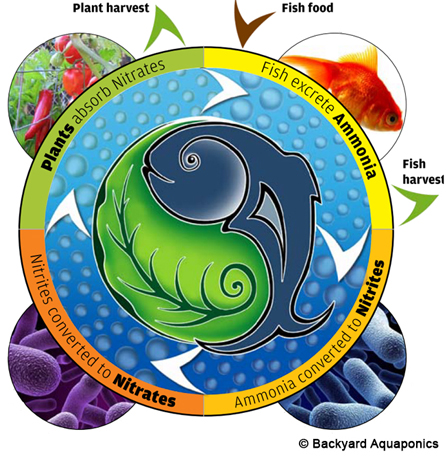 Schema boucle au sol