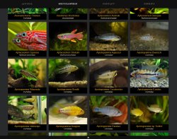 Les différents types d'aquarium - Fishipedia