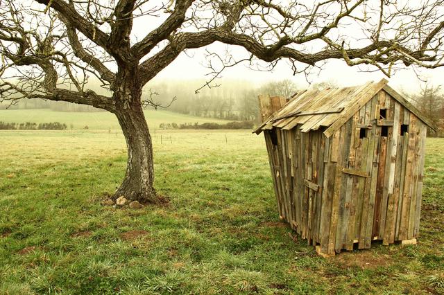 Le poulailler dans son environnement.