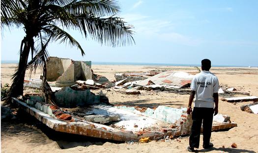 Tsunami, aide d'urgence et réhabilitation, Association VCDS, Madras, Inde