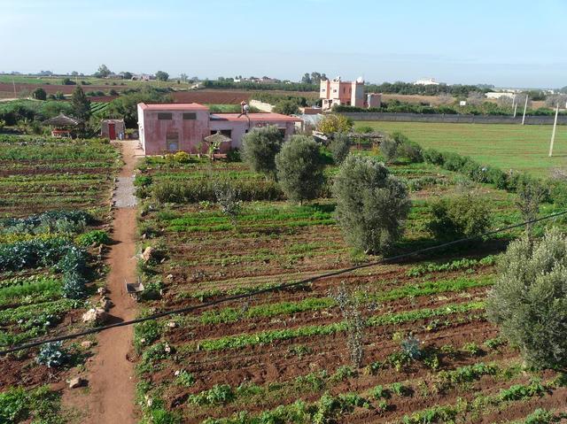 La ferme Vue de dessus