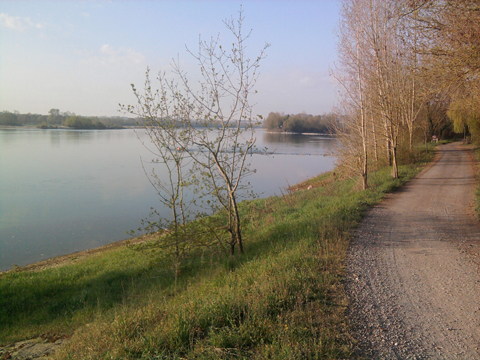 La Loire à Savennières