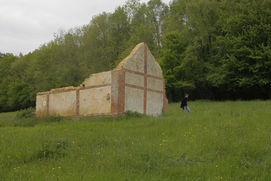 Forêt du domaine des Monts, Orbec.