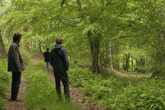 La forêt du domaine des Monts, Orbec.