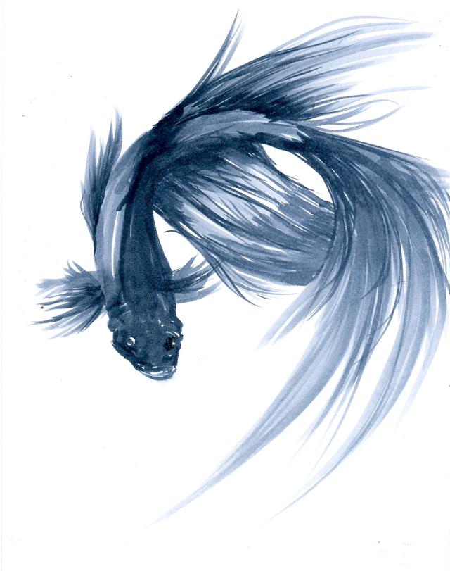 Fish Fight Le Court Metrage Ulule