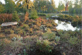 jardin-botanique