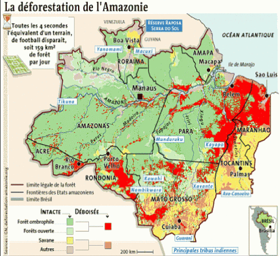 rencontres ecologiques d'été