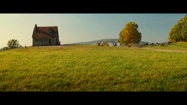 basterds