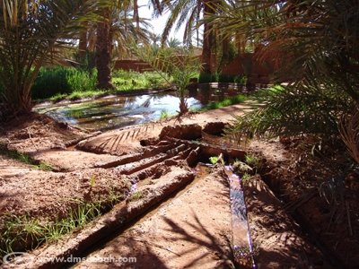 Répartition de l'eau, finement calculée pour chaque propriétaire de jardin.