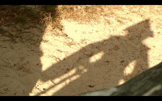 Silhouette de Rackem
